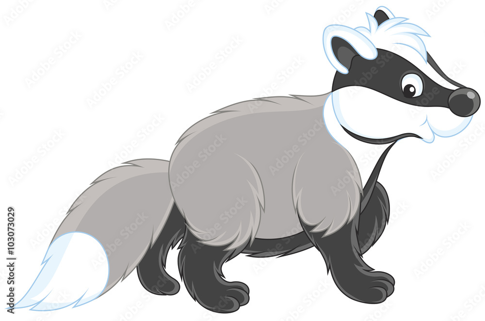 Obraz premium Badger
