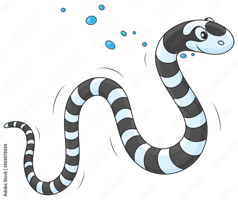 Fototapeta premium Sea snake 