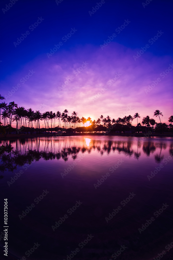 ヤシの木と夕焼けの空 水面の反射 ハワイ Stock 写真 Adobe Stock ヤシの木と夕焼けの空 水面の反射 ハワイ Stock 写真 Adobe Stock