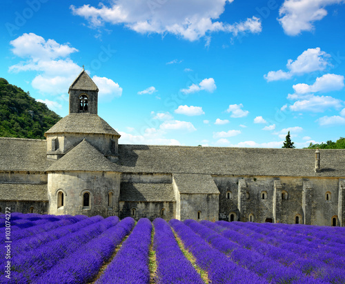 Abbaye de Senanque with lavender field - Provence, France