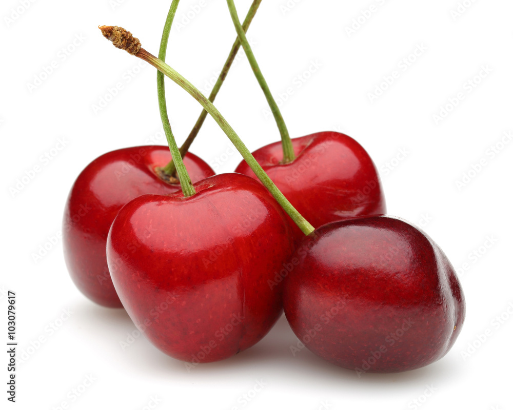 Cherry Cherry