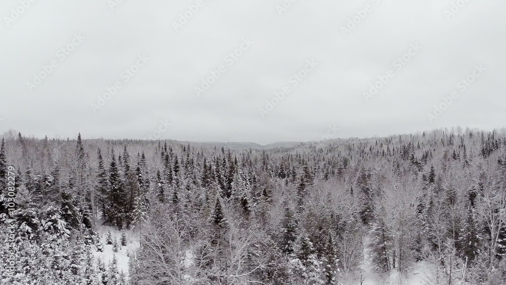 Aerial Video of Spruce, Pine and Fir Forest in Winter after a snowfall Aerial Video of Spruce, Pine and Fir Forest in Winter after a snowfall