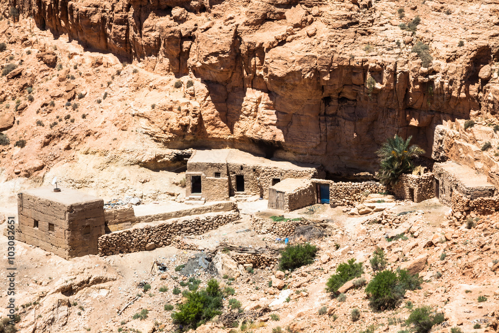 A village at an oasis at the bottom of a canyon in the Atlas mou