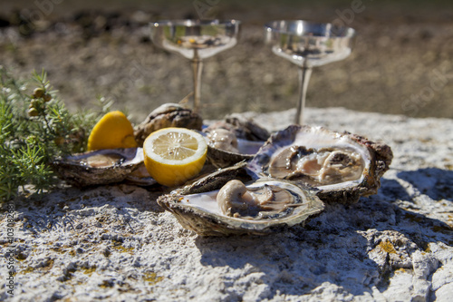 Fototapeta Naklejka Na Ścianę i Meble -  Romantic epicure orgy on the sea coast Fresh picked oysters and organic lemon and mediterranean herbs with silver champagne glasses