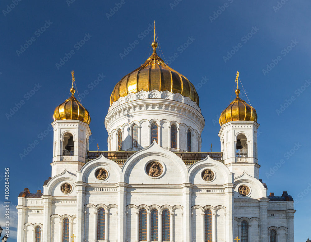 Domes. The Cathedral of Christ the Savior