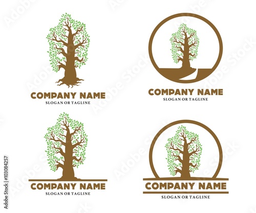 old artistic oak tree logo template