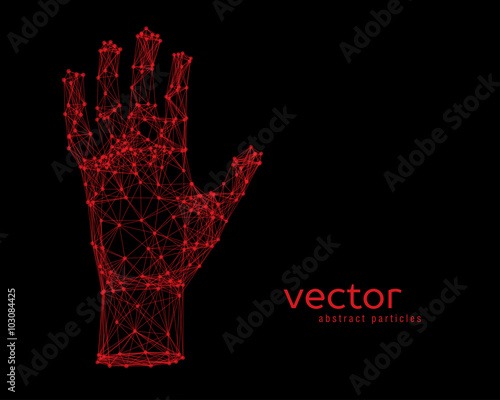 Vector illustration of human arm