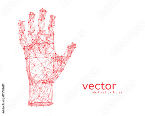 Vector illustration of human arm