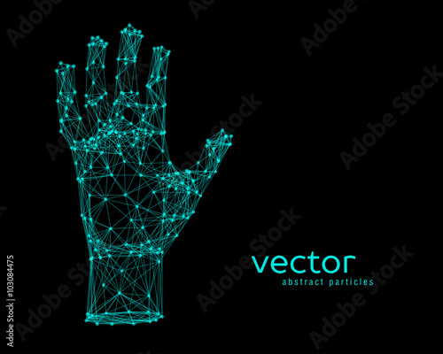 Vector illustration of human arm