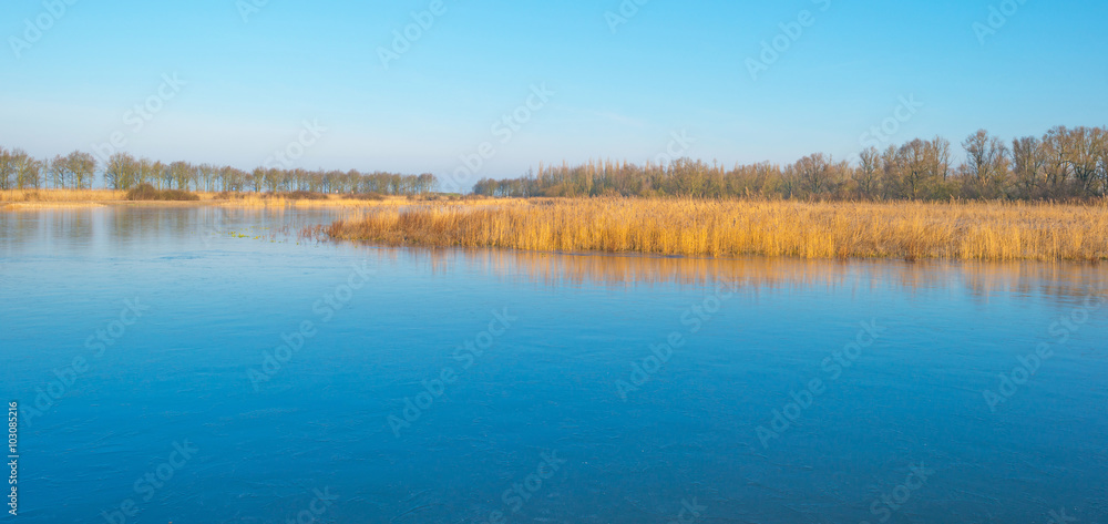 Shore of a lake in sunlight in winter Shore of a lake in sunlight in winter