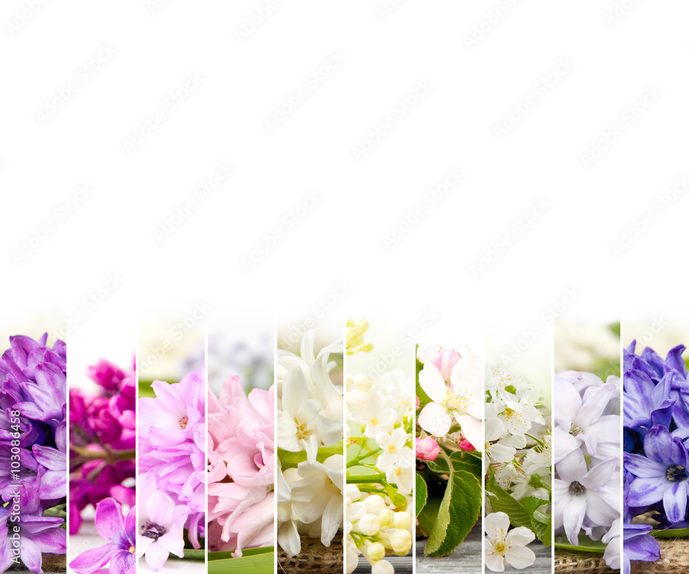 Obraz premium Spring Bloom Mix