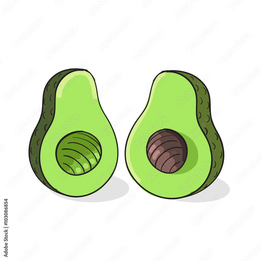 Avocado vector illustration Avocado vector illustration