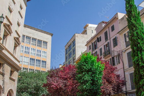 Trees surrounded by various apartment buildings