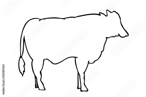 vector outline Beef   isolated on white  