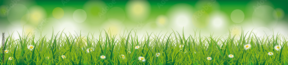 Easter Spring Background Header Easter Spring Background Header