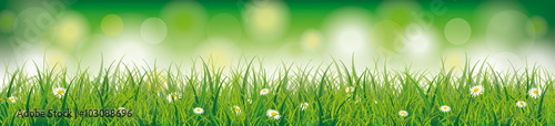 Easter Spring Background Header