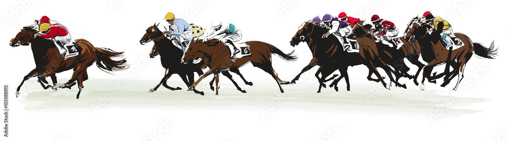 Fotografie, Obraz Horse racing