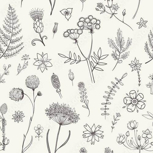 Herbs and Wild Flowers. Botany pattern