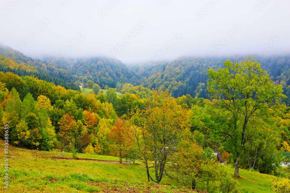 Fog in autumn Carpathian