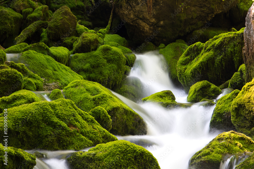 Fototapeta premium Wasserfall