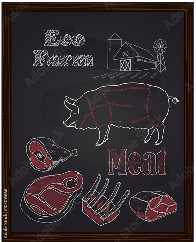 pork diagram and pieces of meat