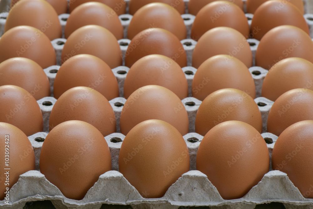 Chicken eggs in a row Chicken eggs in a row