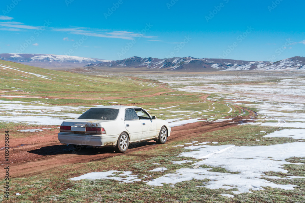 The car moves on a gravel road in the wilderness against the bac