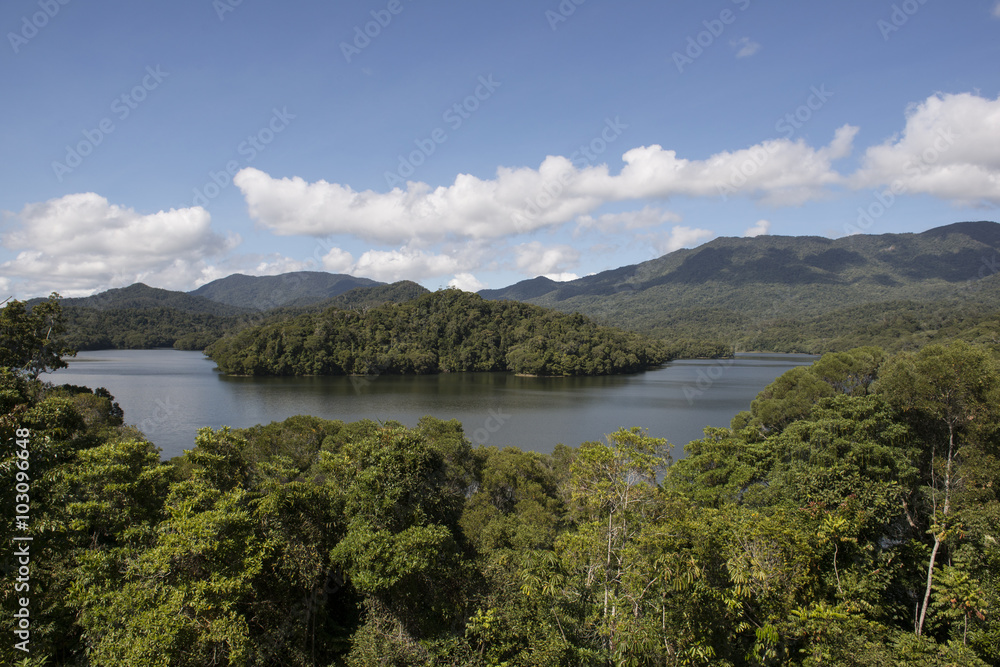 Lago con isla en el medio y rodeado de bosques. Lago Morris, Cairns, Australia
