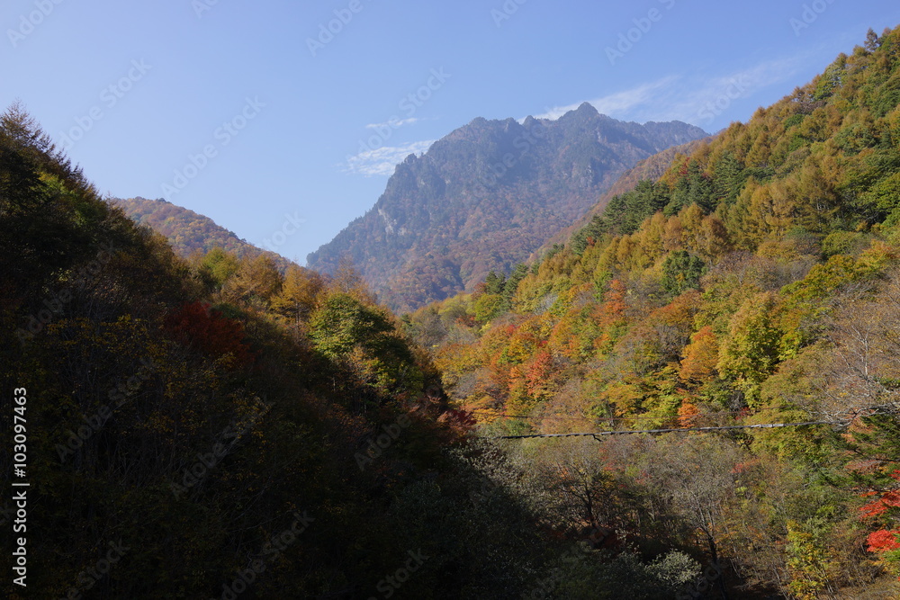 秋 西沢渓谷 川 谷 滝 秋 西沢渓谷 川 谷 滝