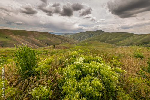 Beautiful clouds over green hills, spring. Oregon, Baker County, Lookout Mountain rd