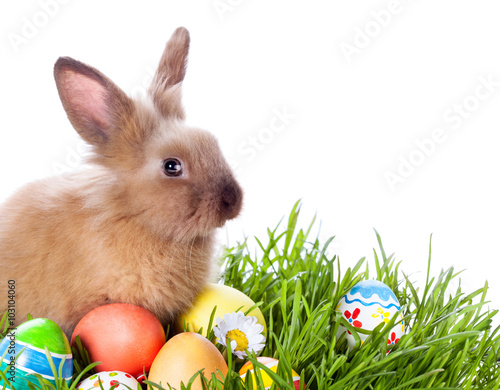 Easter bunny and Easter eggs