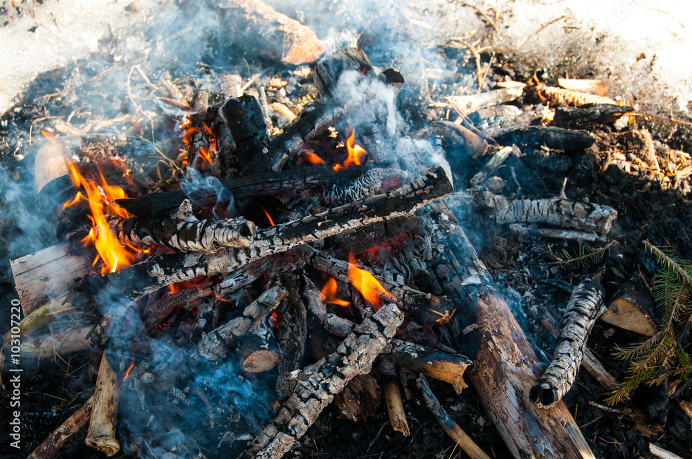 Burned logs in a bonfire Burned logs in a bonfire