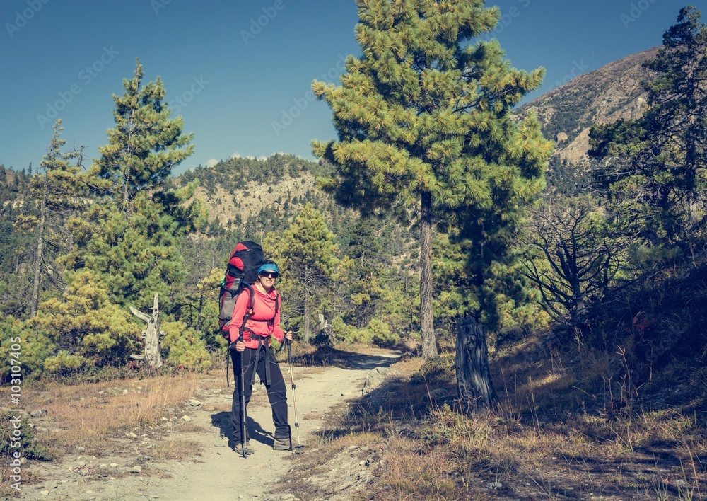 Yount femela trekker on her way through mountain forest.