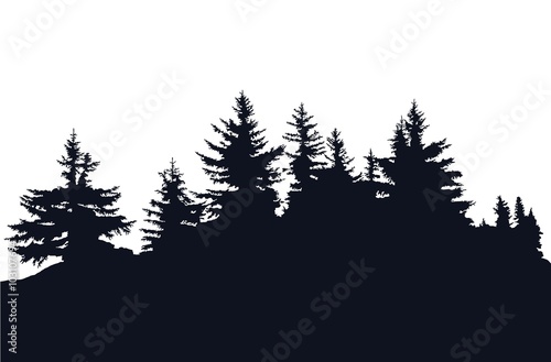 Forest silhouette