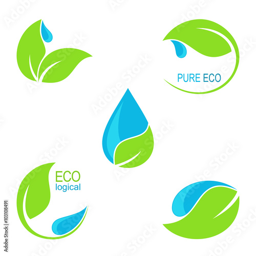 Icons, emblems and frames with green leaves and water droplets for ecological and natural design