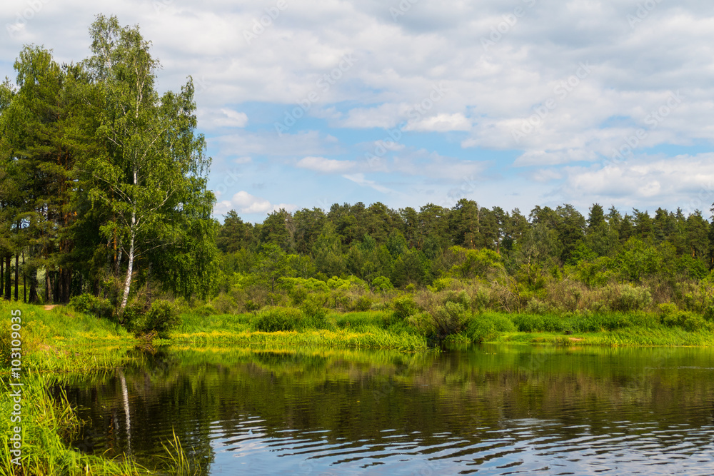 Lake with reflection and forest landscape Lake with reflection and forest landscape