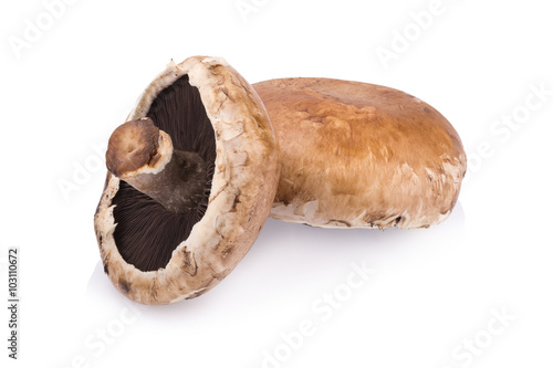 portobello mushrooms isolated on white background photo