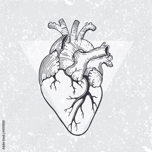 anatomical heart with triangle