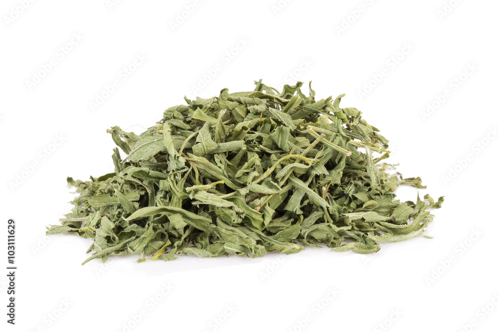 dried tarragon stalks on a white background dried tarragon stalks on a white background