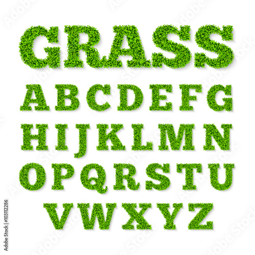Green grass alphabet