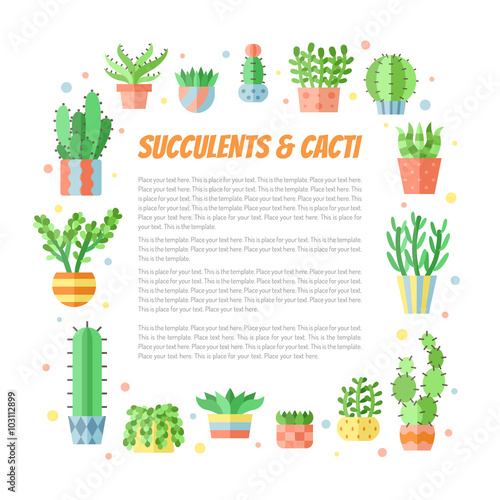 Succulents and cacti flat style multicolored square frame vector background with place for your text. Modern minimalistic design.