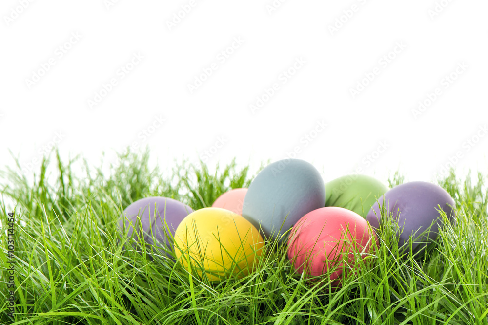 Easter eggs in green grass. Festive decoration Easter eggs in green grass. Festive decoration