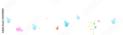 Schmetterlinge fliegen banner Hintergrund bunt