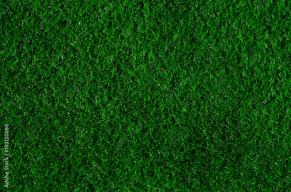 Texture of green grass Texture of green grass