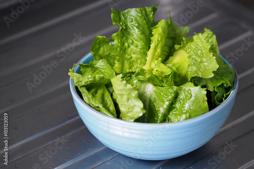 Green salad cos romaine lettuce sliced in blue bowl