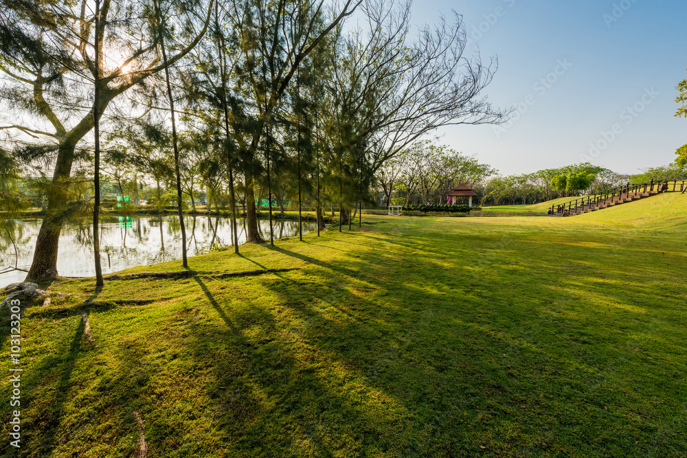 Obraz premium Green field in the garden