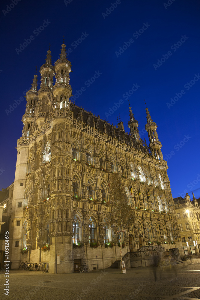 City Hall at Night, Leuven