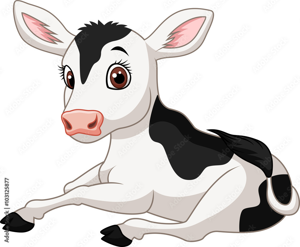 Cartoon funny baby cow sitting isolated on white background Cartoon funny baby cow sitting isolated on white background