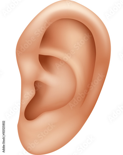 Illustration of ear human isolated on white background 