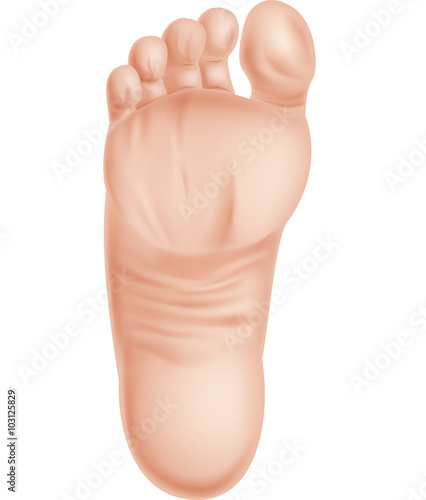 Illustration of feet isolated on white background  © tigatelu